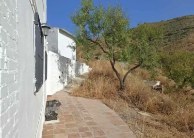 Terreno cultivado con almendros de secano en finca rústica en Málaga.
