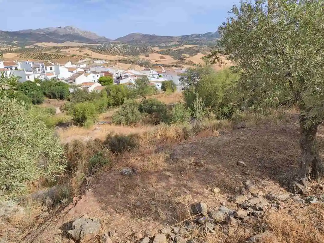 Terreno en venta en Casabermeja Málaga con vistas